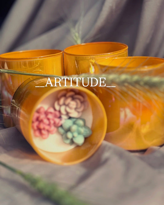 Succulent Serenity (Orange Fragrance)