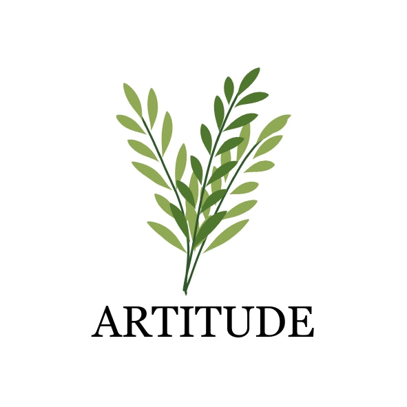 Artitude Co