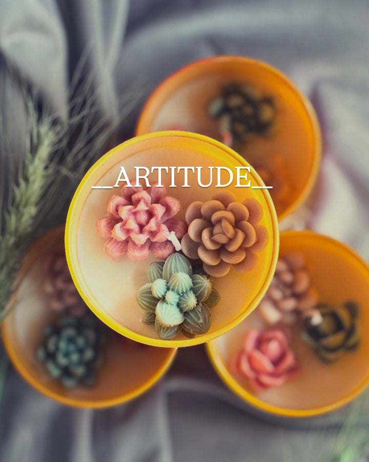 Succulent Serenity (Orange Fragrance)